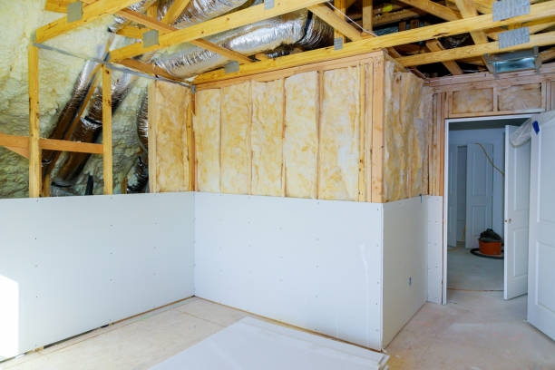 Best Eco-Friendly Insulation Solutions  in Calumet Park, IL